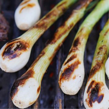 Grilled cambray onions