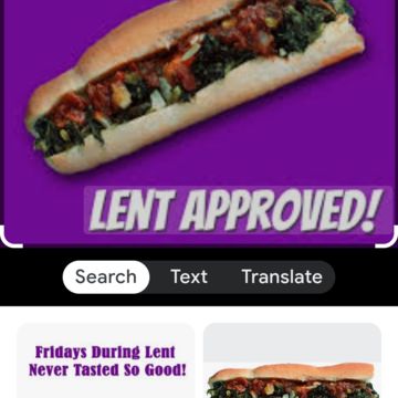 Vegetarian cheesesteak