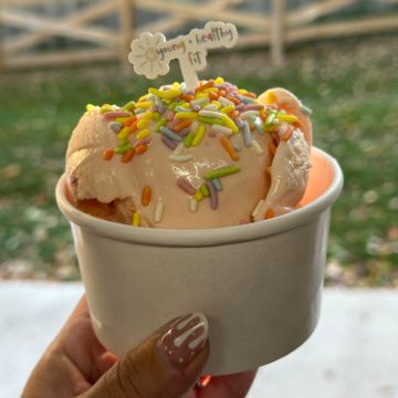 Ice Cream Scoops