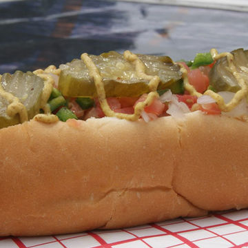 Texas Dog