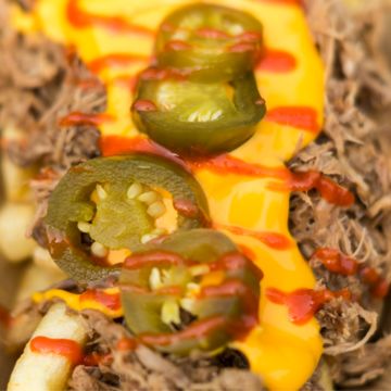 Loaded Pulled Pork Fries