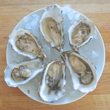 Raw West Coast Oysters