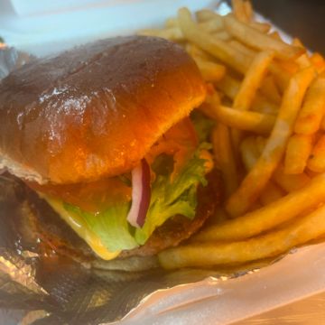 Hamburger w/fries
