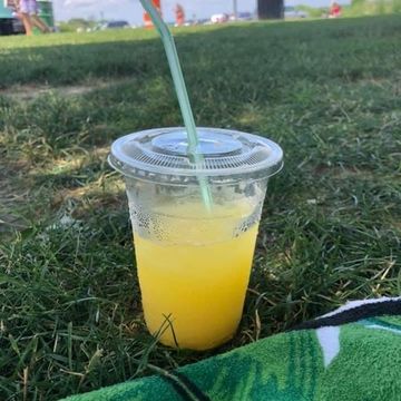 Fresh Squeezed Fruit Nectars 