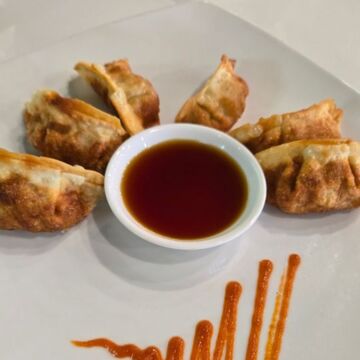 Steamed Gyoza