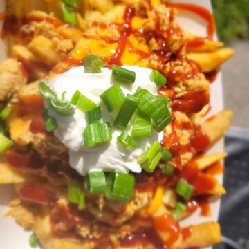 BBQ Chicken Fries