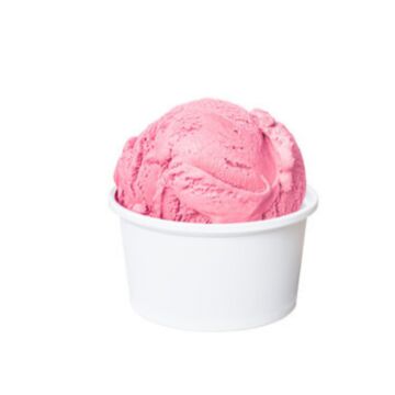 A Cup of Sorbet Dairy Free -Watermelon