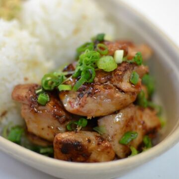 Yakitori Chicken Plate