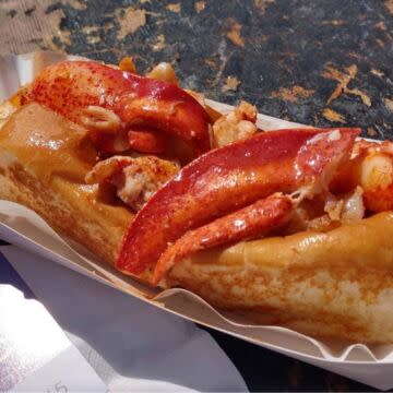 Rockstar Lobster