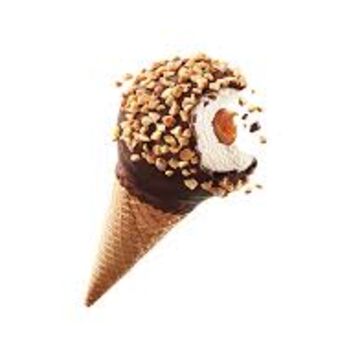 Drum stick