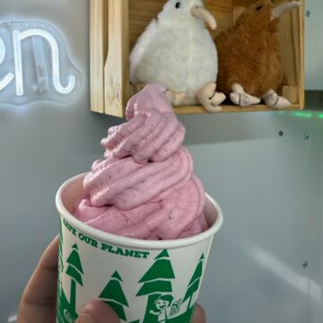 Real Fruit Ice Cream Cup