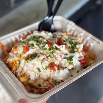FILTHY FRIES