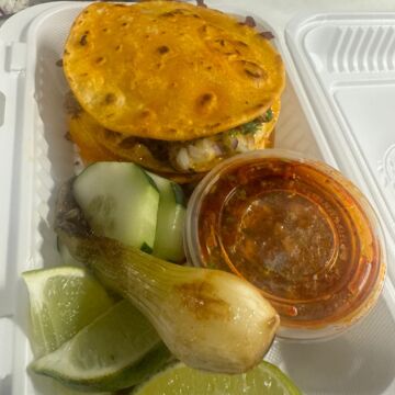 Birria mulitas