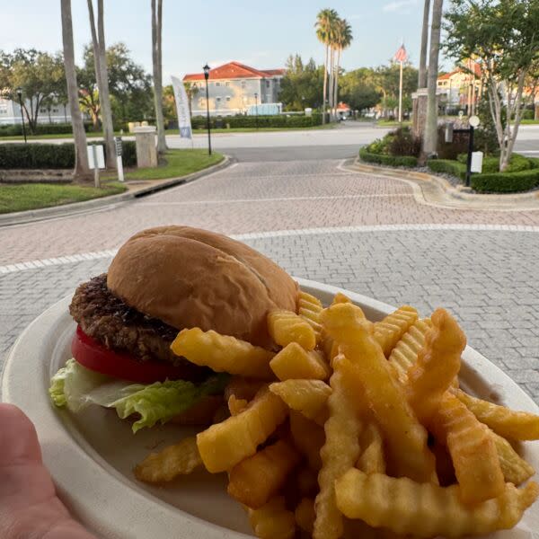 Chicken Burger, Fries And Drink