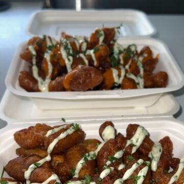 Sauwce's gator bites