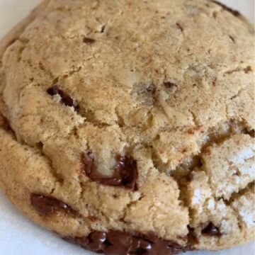 Chocolate Chip Cookie