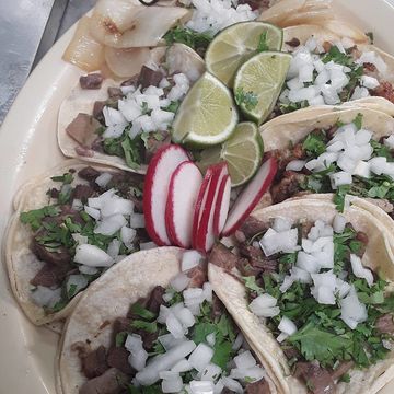 Taco Regular 