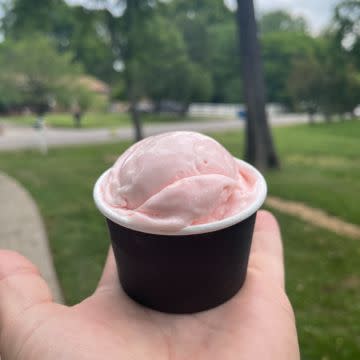 Mini Cup