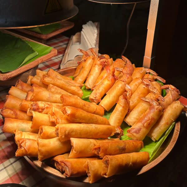 Homemade fried Spring Rolls
