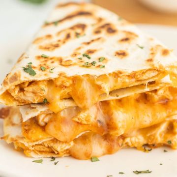 Quesadilla and Fries