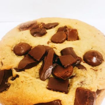 Chocolate Chip Cookie 