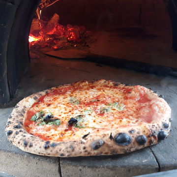 Margherita 