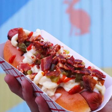 The Shack Dog