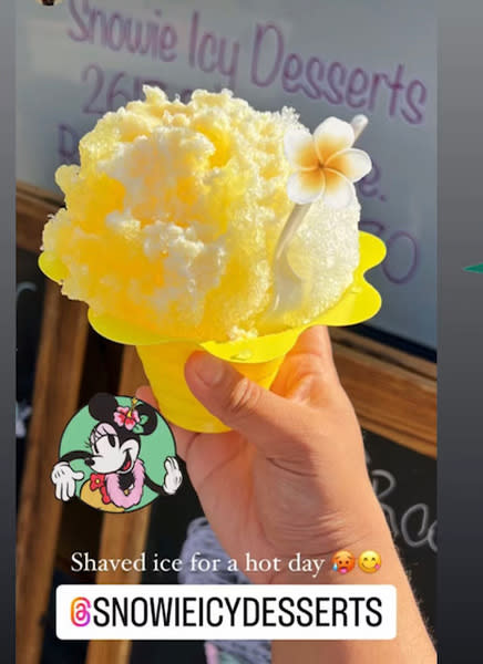 Hawaiian Style Shave Ice